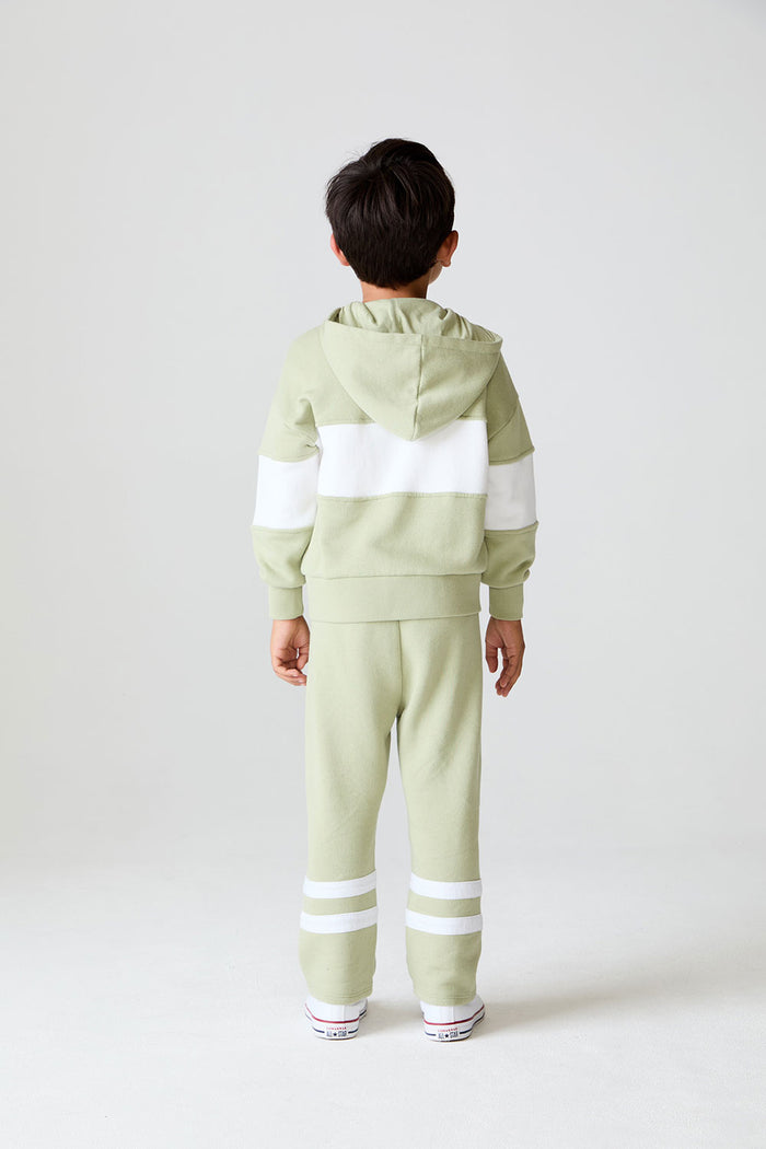 Back view of a boy wearing the Chaser Color Block Paxton Zip Up Hoodie on a neutral background