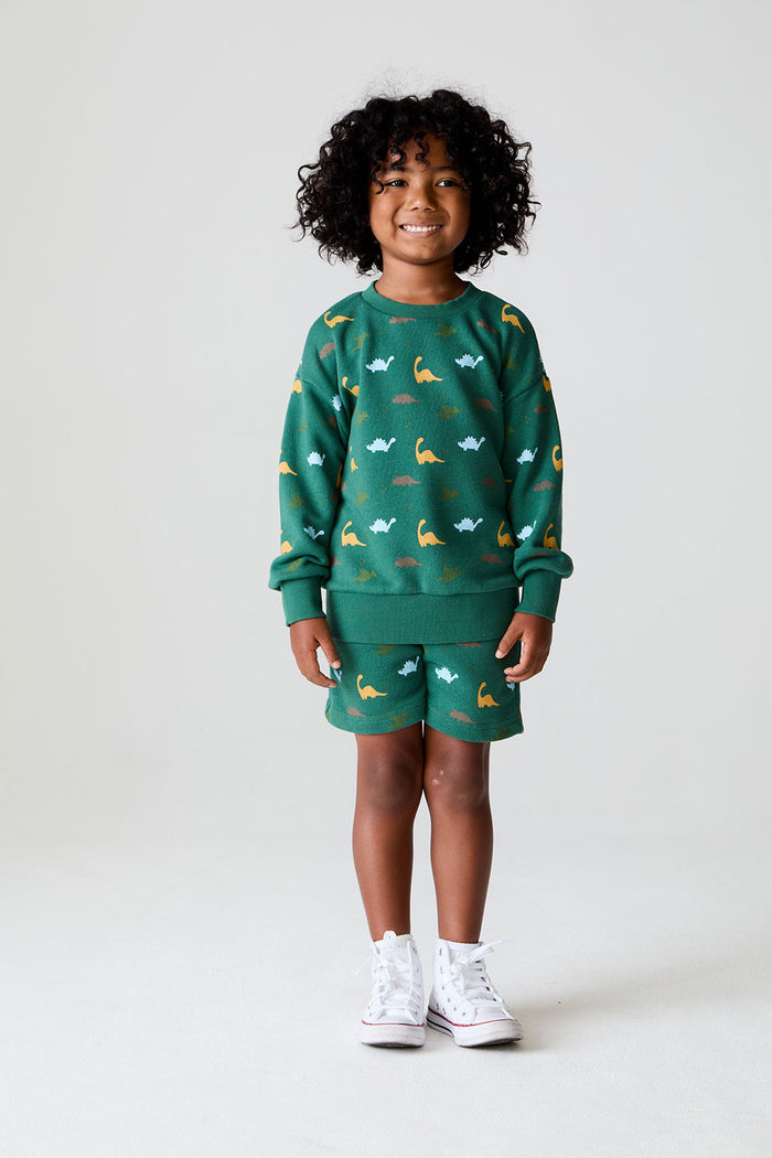 Boys Dino Party Boys Pullover chaserbrand