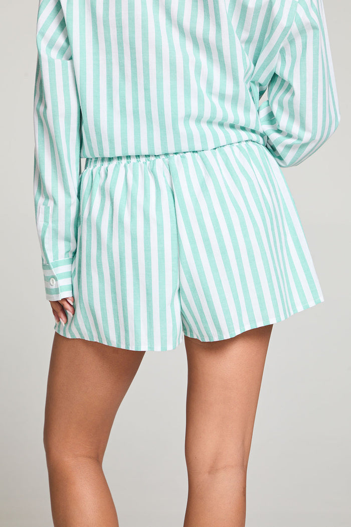 Durango Aloe Stripe Shorts WOMENS chaserbrand