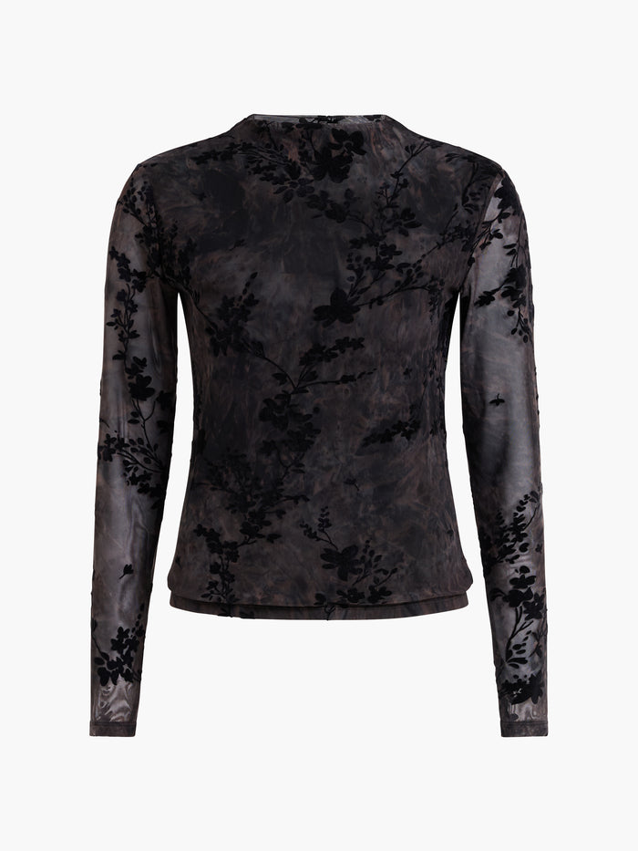 Kenny Floral Velvet Devore Mesh Top