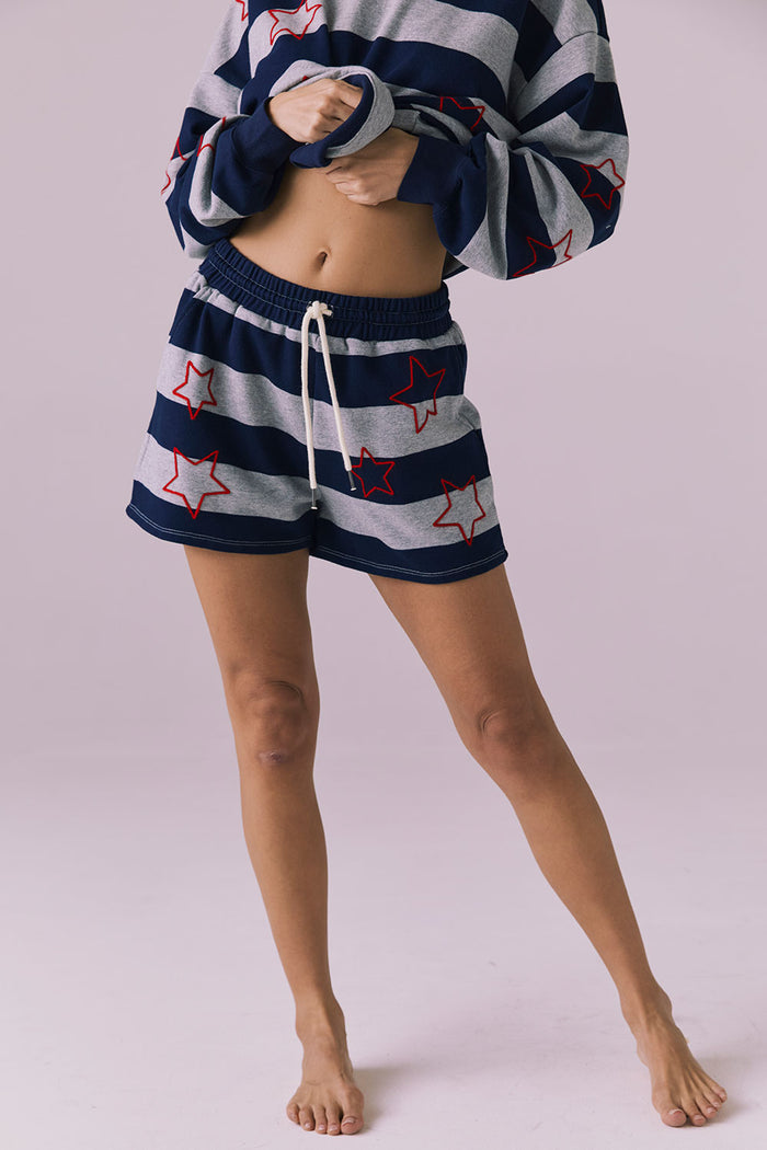 Front lower-body view of Chaser Brand Maritime Stars Shorts in Heather Grey Stripe showing relaxed silhouette and embroidered stars