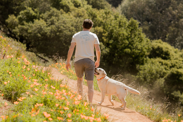 Wearing the Men's Trout Tee in Tofu White Heather, a man walks a white dog on a leash along a sunlit dirt trail bordered by greenery and orange wildflowers.