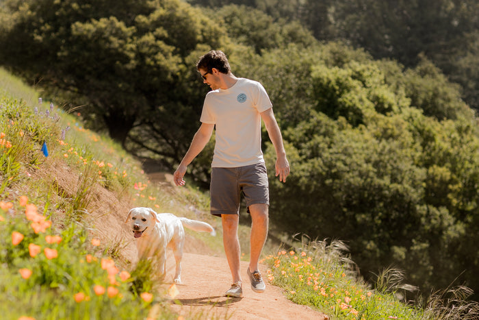 A man wearing a Men's Trout Tee- Tofu White Heather and shorts walks with his cheerful yellow Lab along a grassy, wildflower-lined dirt path, trees behind them—a perfect outdoor lifestyle shirt moment.
