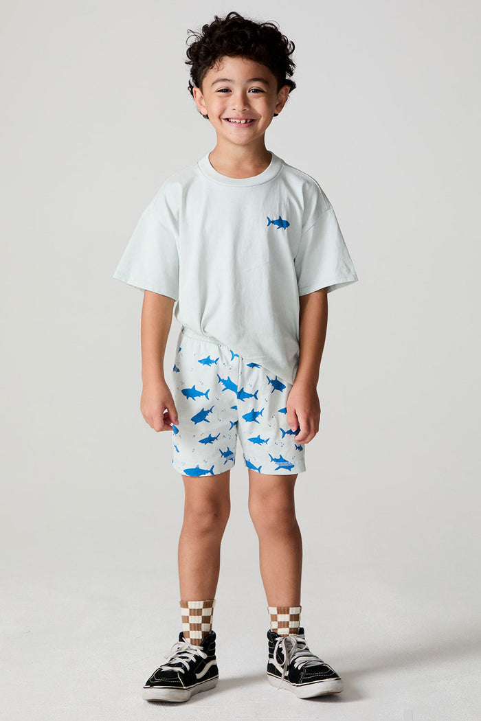 A full body front view of a boy wearing the Chaser Shark Around Shorts on a neutral background