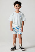 A full body front view of a boy wearing the Chaser Shark Around Shorts on a neutral background