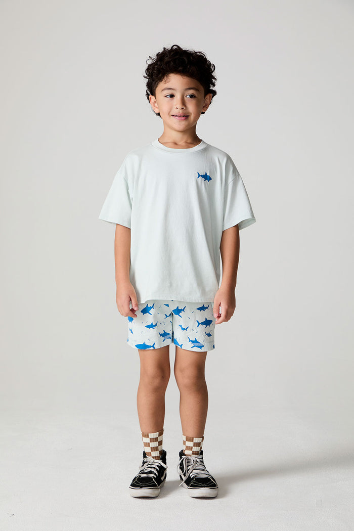 Full body front view of a boy wearing the Chaser  Shark Around Tee on a neutral background