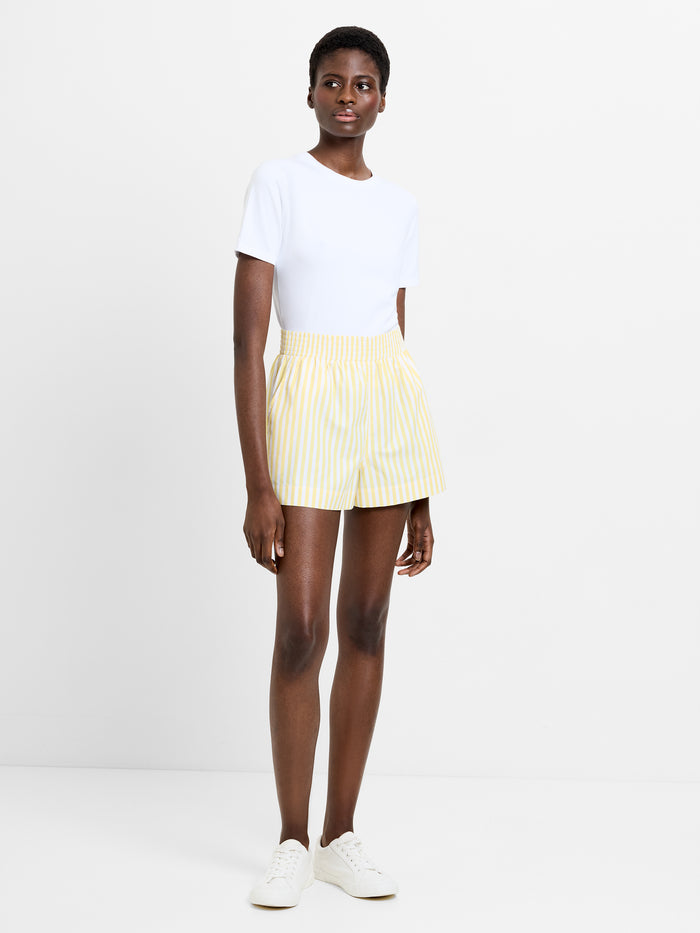 Stripe Shirting Shorts