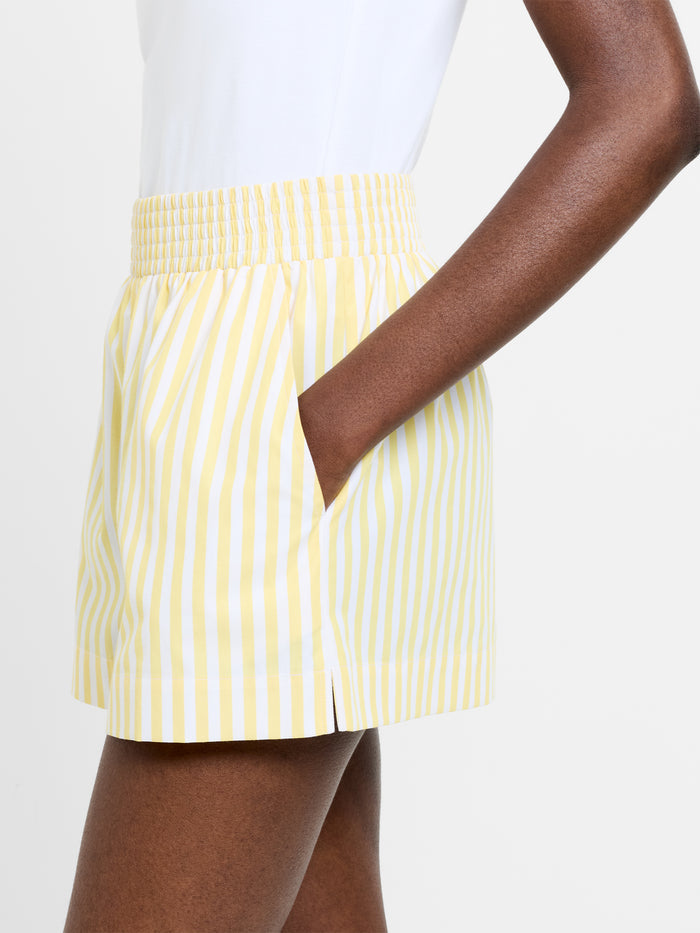 Stripe Shirting Shorts