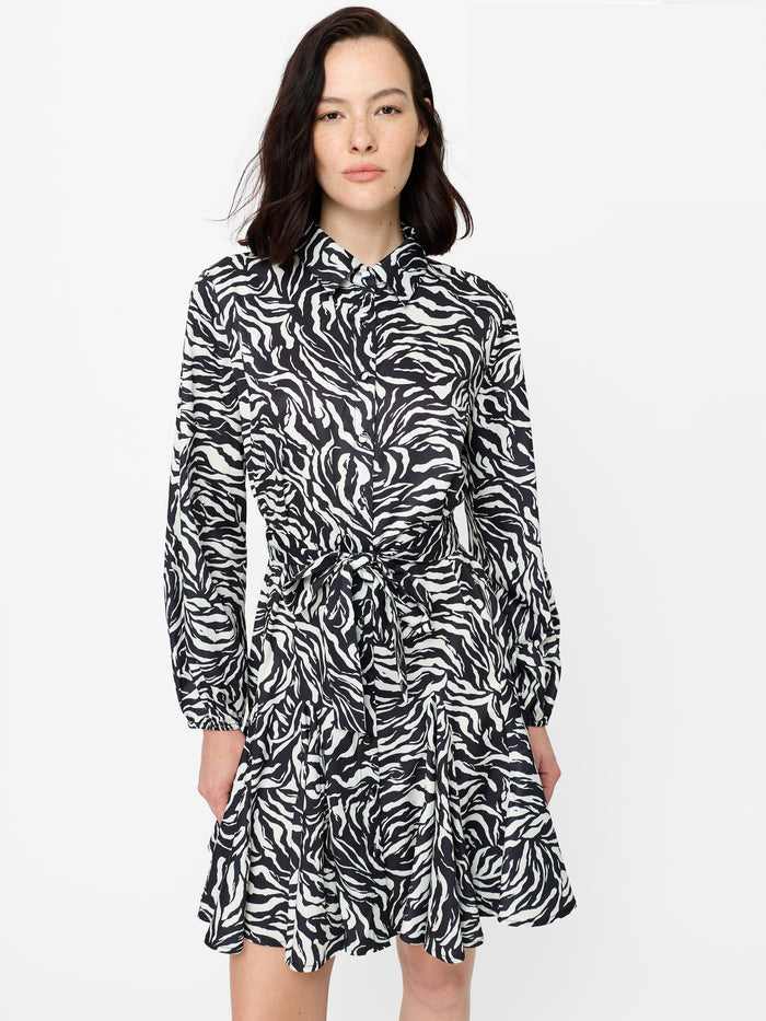 Zebra Print Long Sleeve Swing Mini Dress
