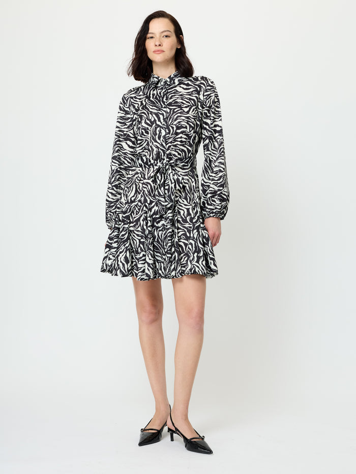 Zebra Print Long Sleeve Swing Mini Dress